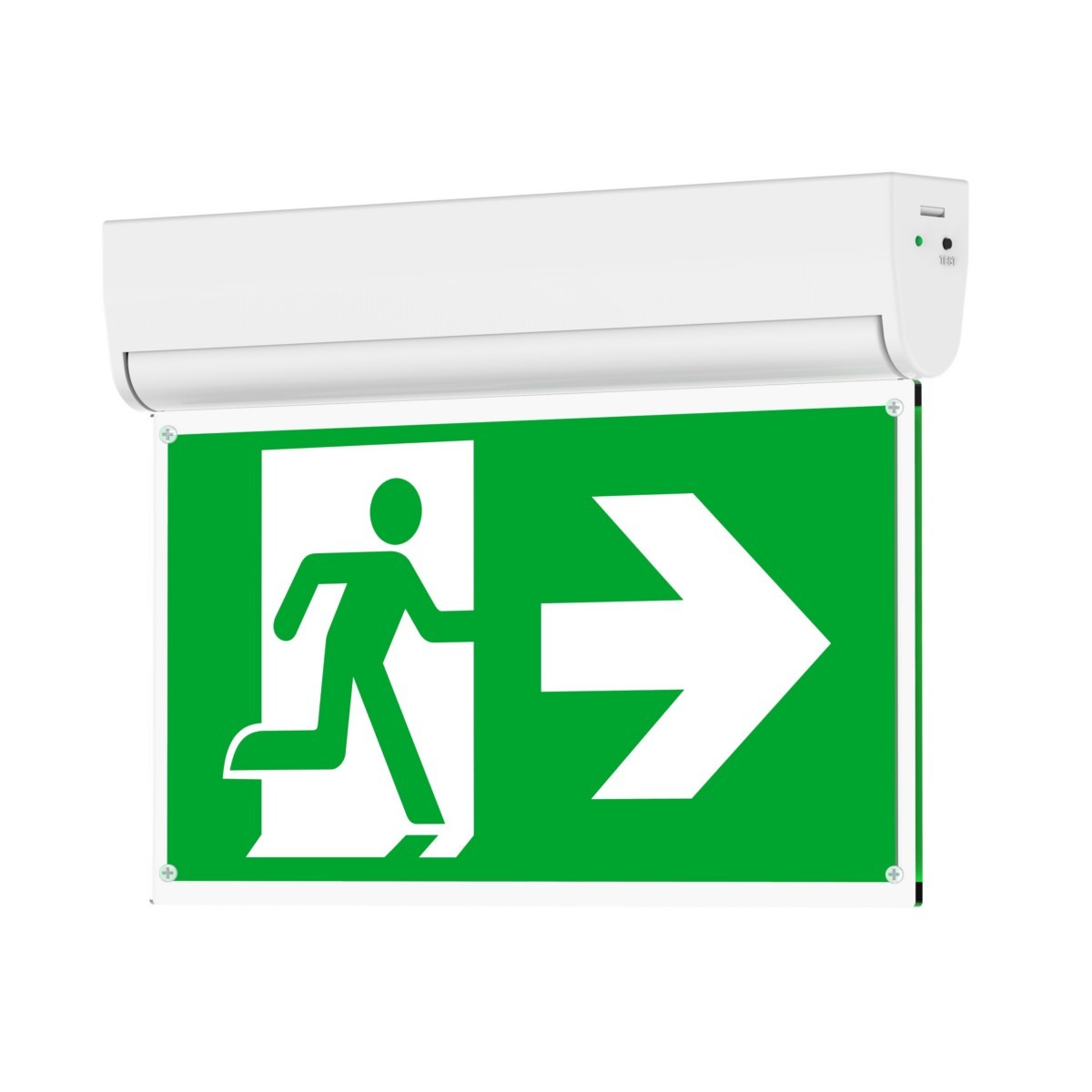 LED-Rettungszeichenleuchte LEDExi #572005002000