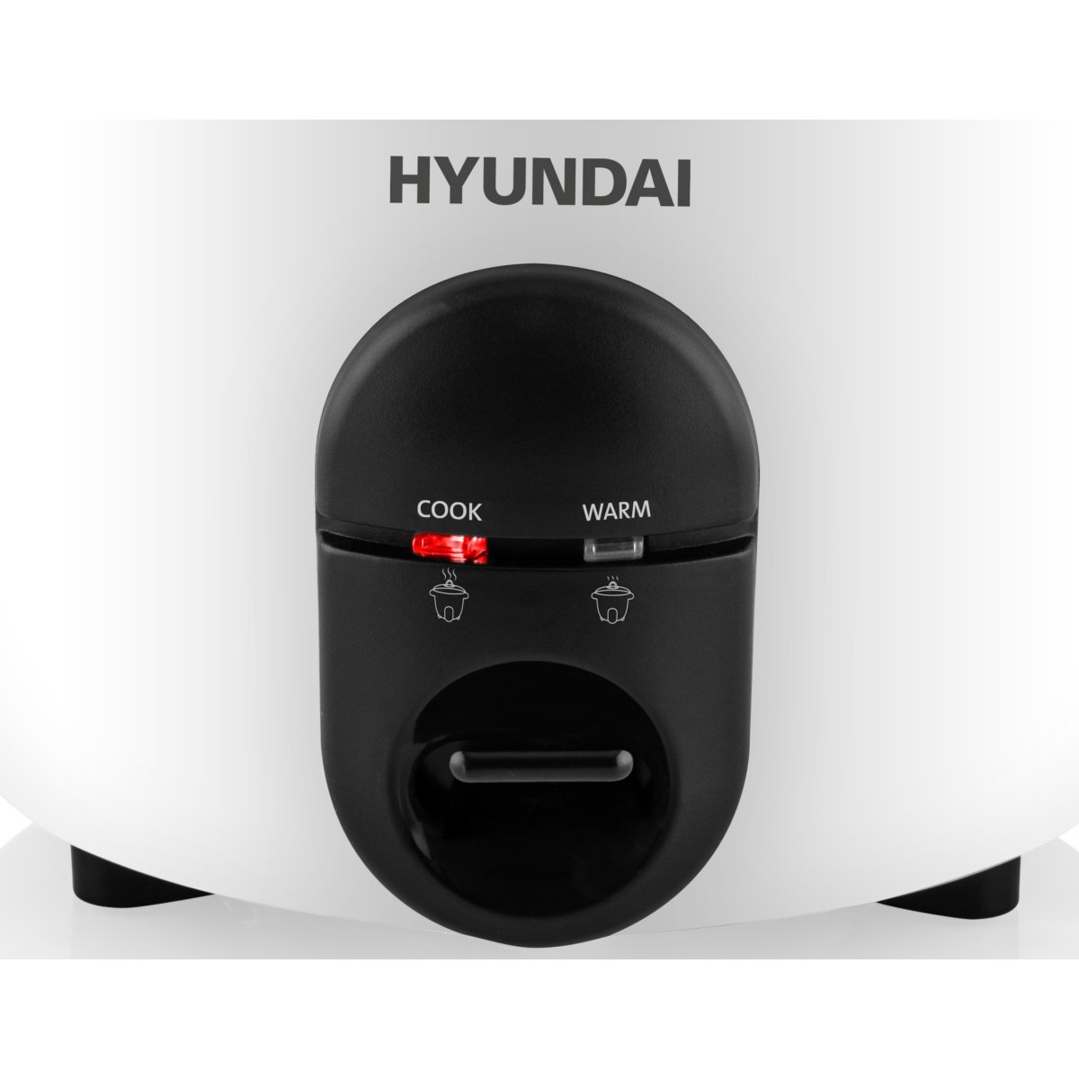 Reiskocher HYURC100 ws