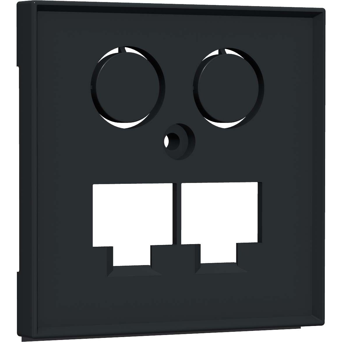 Zentralplatte TV+LAN/LAN HW-ZLLANG55V1