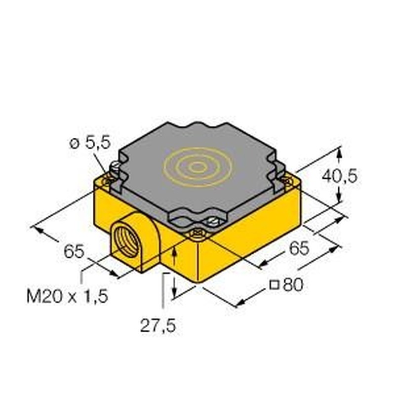 Sensor NI40-CP80-Y1