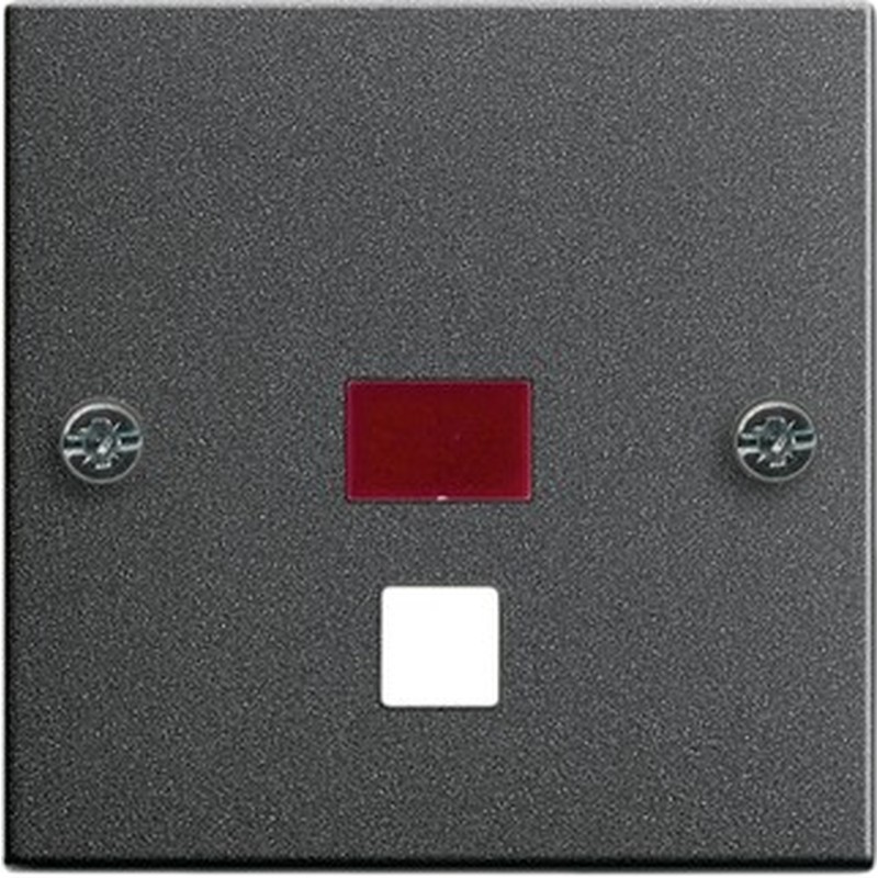 Zentralplatte Zugtast. ant 063828