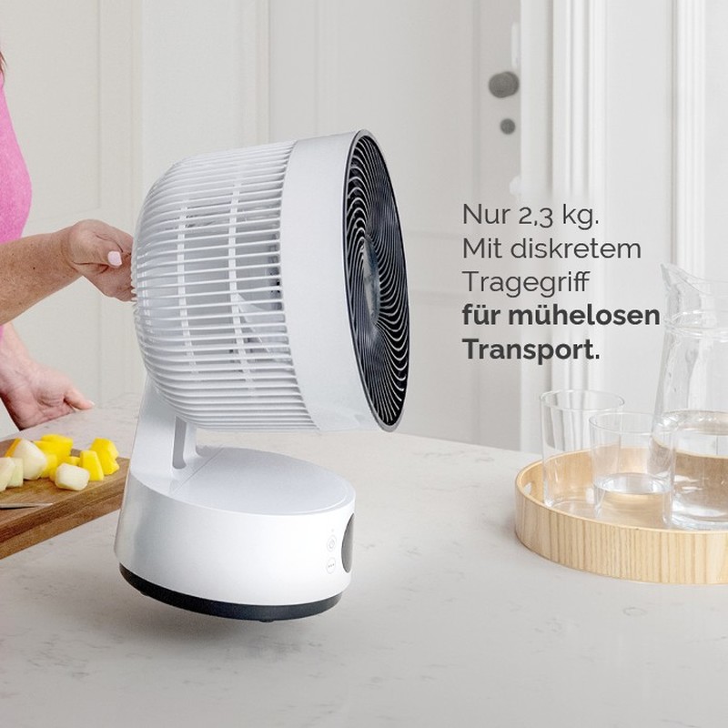 Tischventilator F-Sefte-T-8-EU