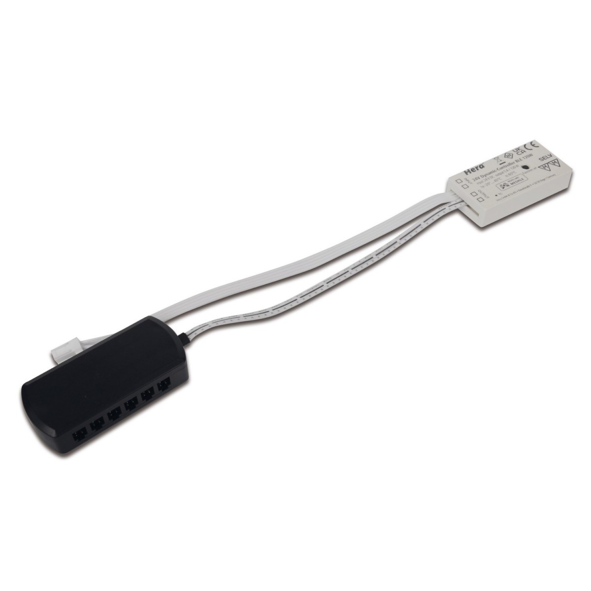 24V BLE-Controller Dynamic 20805005201