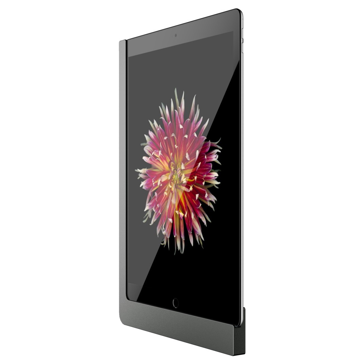 iPad Wandhalterung 510161LAN