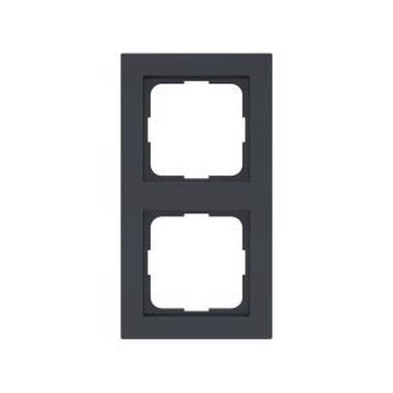 Abdeckplatte AP 55 2 gr