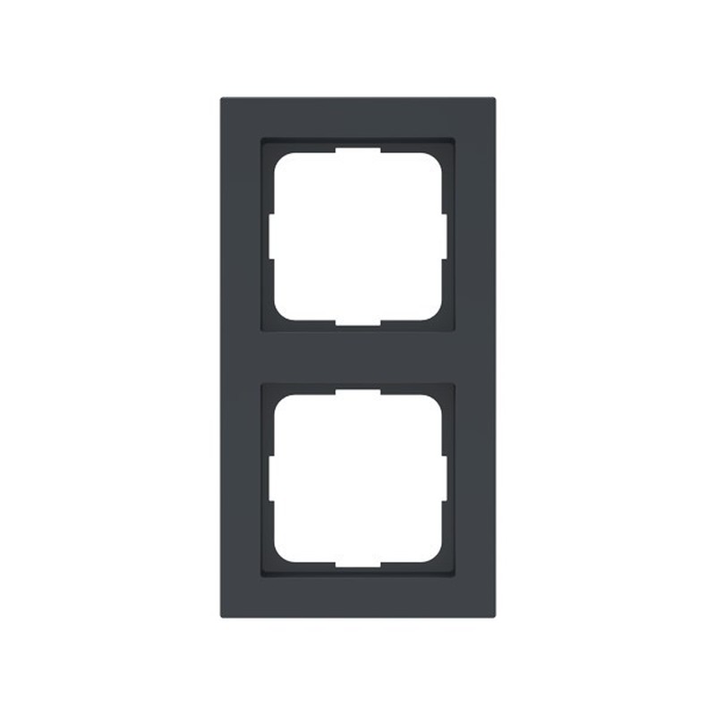 Abdeckplatte AP 55 2 gr