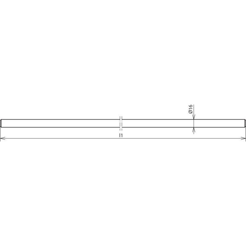 Fang-/Erdeinführungsstange EES 16 1000 V4A