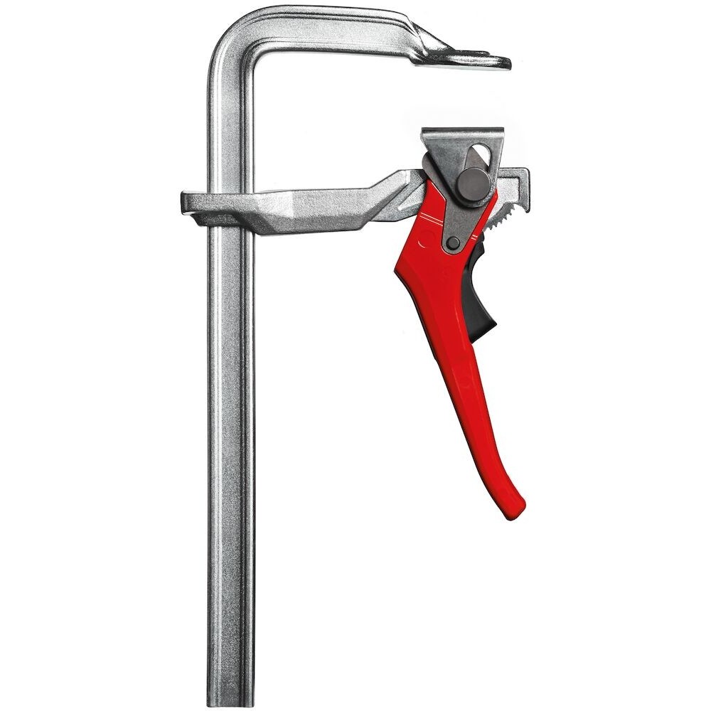 Hebelzwinge GH100