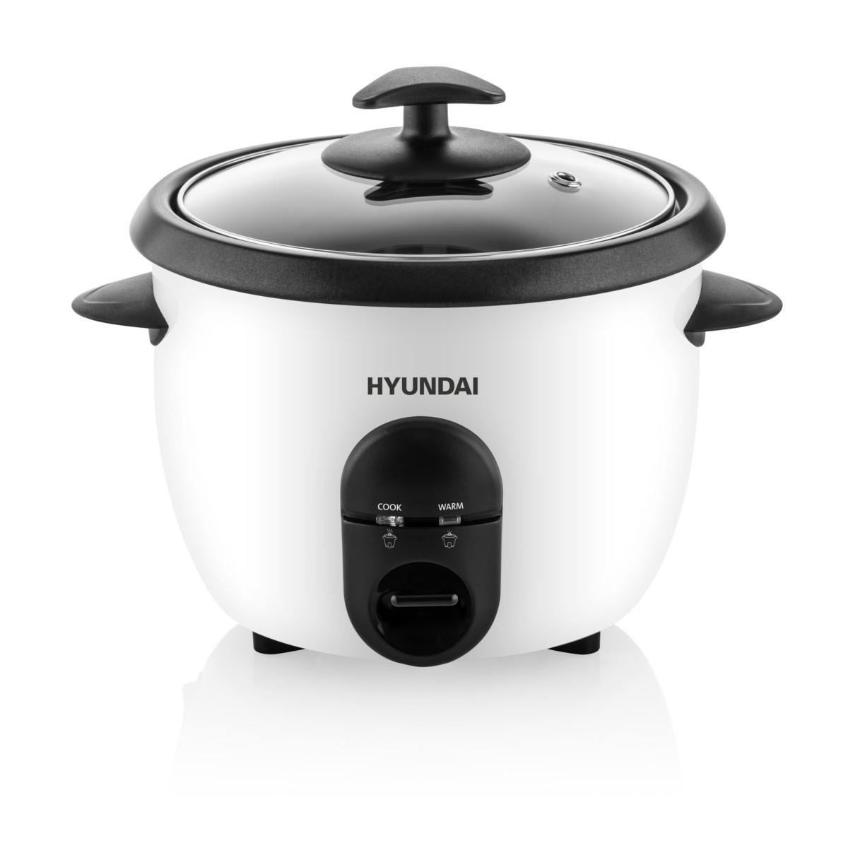 Reiskocher HYURC100 ws