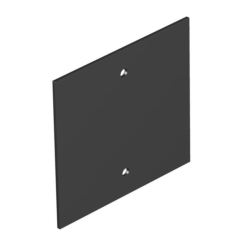 Abdeckplatte T12L P05S 9011