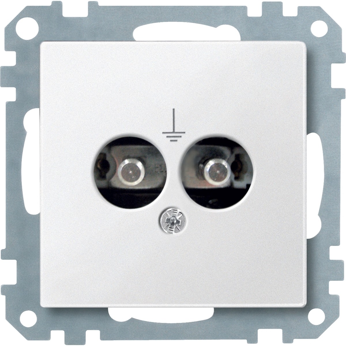 Steckdosen-Einsatz pws 298219