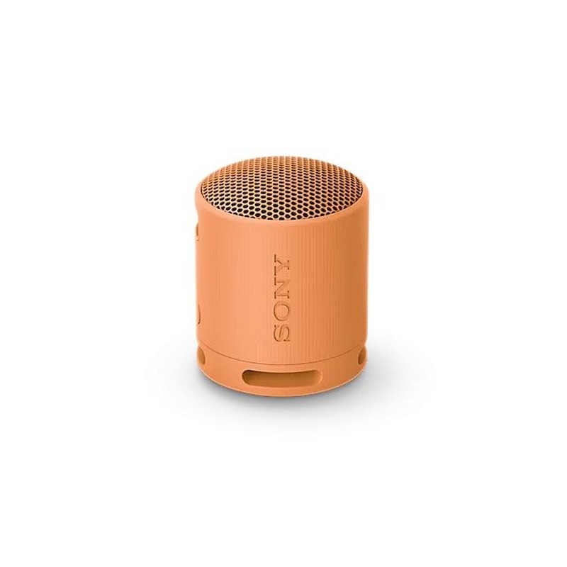 Bluetooth-Lautsprecher SRSXB100D.CE7