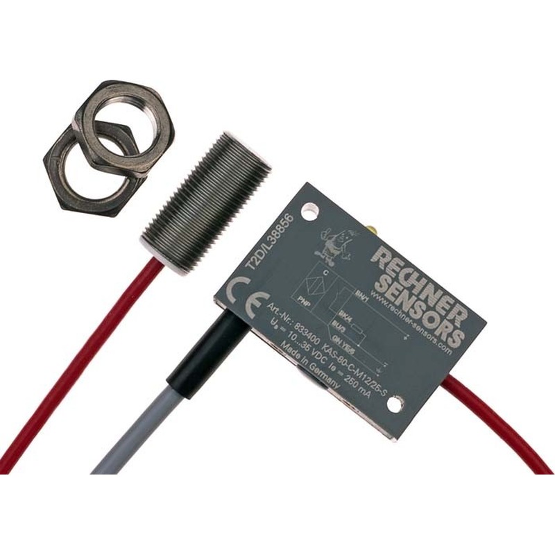Näherungsschalter KAS-80-C-M12/25-S